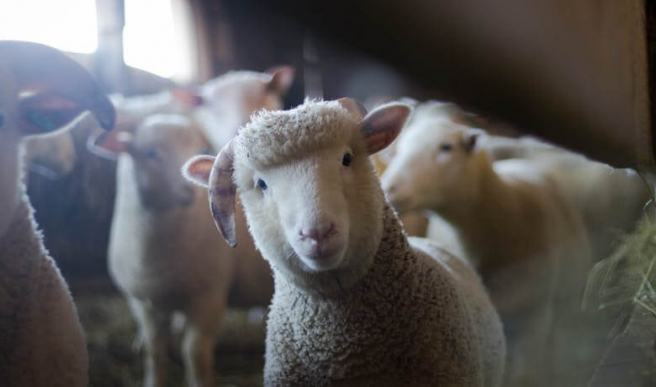 Confirmation Bias A Sneaky Attack on Objectivity in Science
