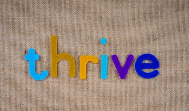 Strategies for overcoming funding constraints and thriving in research