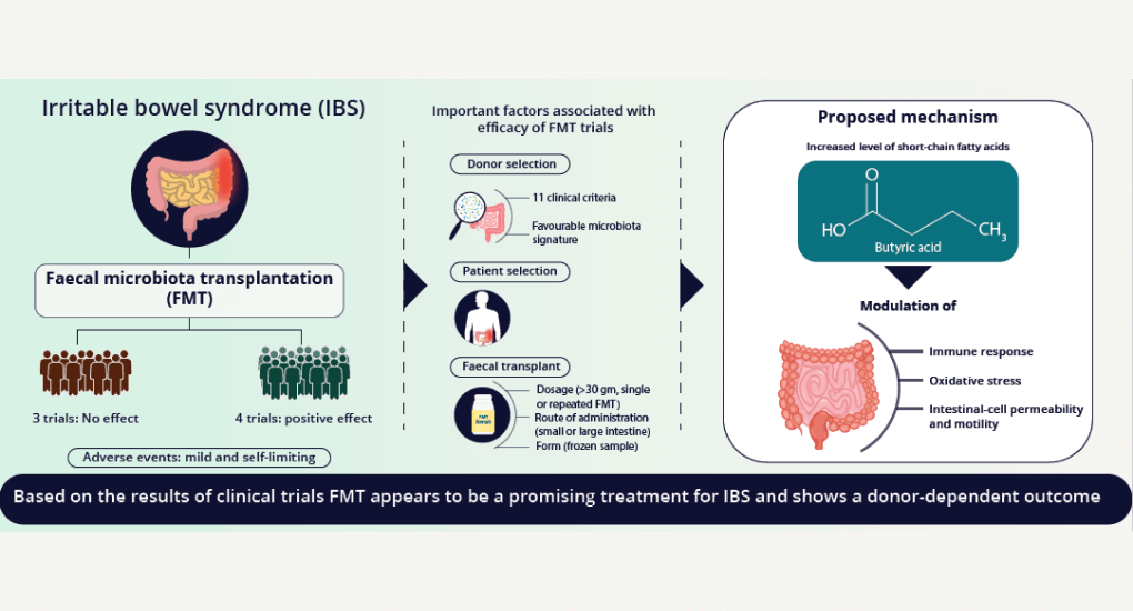 graphical abstract service sample 2