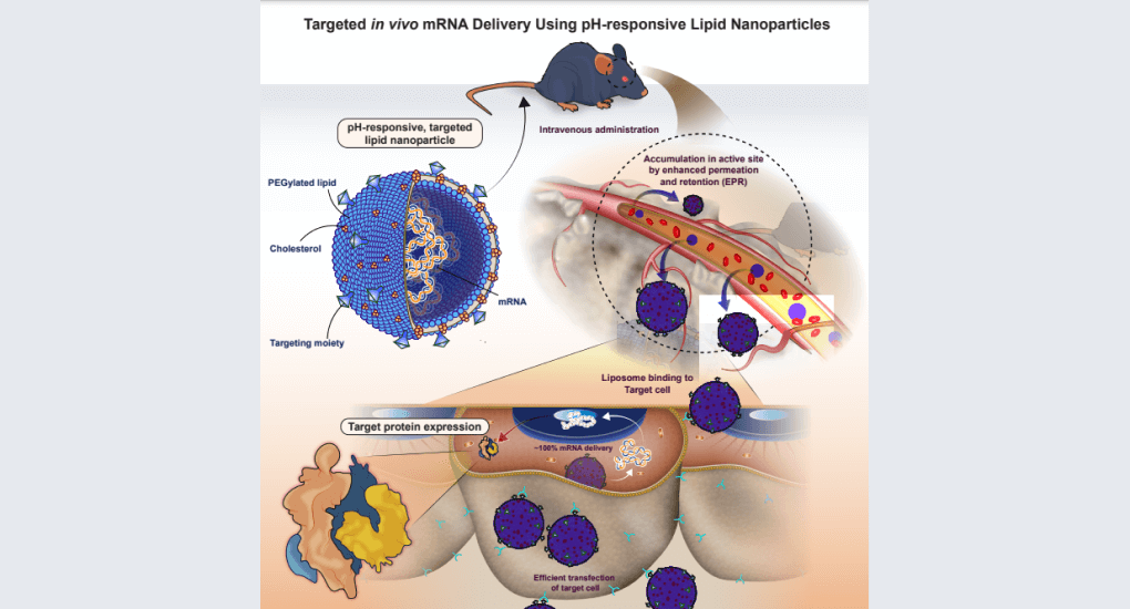 graphical abstract service sample