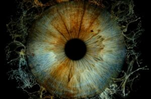 Role of visuals in communicating biomedical research